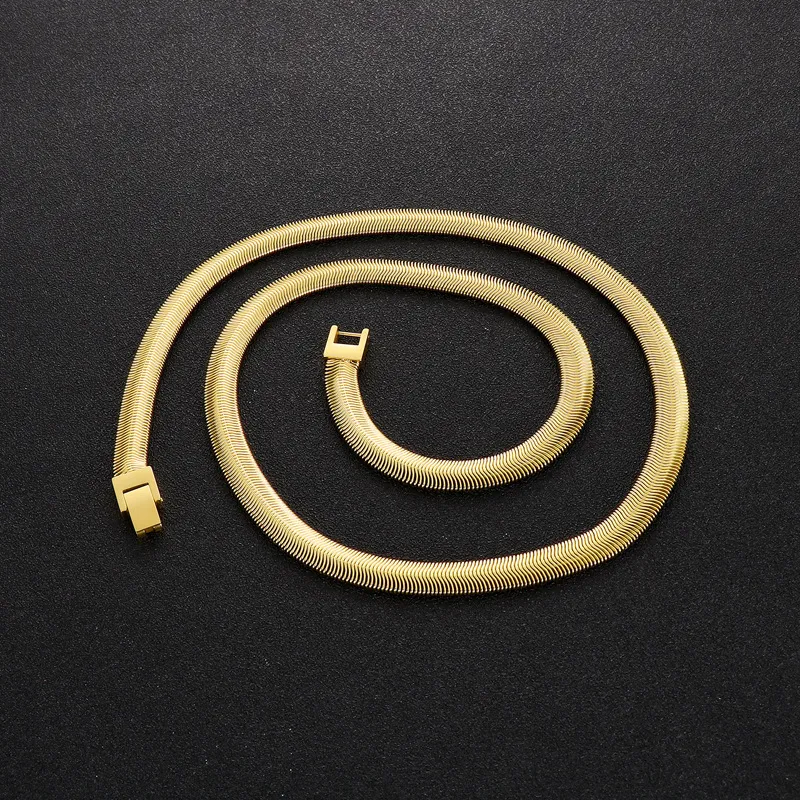 a Drop-Shipment Minimalist Jewelry Buckle Trendy European and American Hip-Hop Style Flat Snake Bone Chain Stainless Steel Necklace for Men and Women