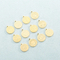 Twelve Constellation Necklace Pendant Stainless Steel Jewelry DIY Accessories