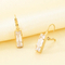 Exquisite Minimalist Square Zircon Stainless Steel Earrings Light Luxury Geometric Earrings Women