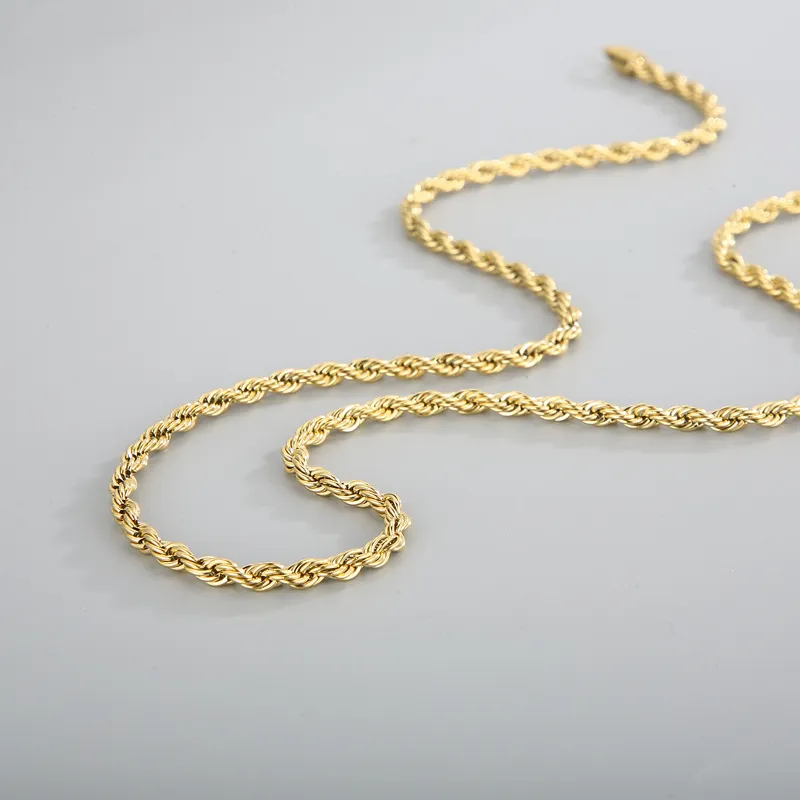 Simple and Domineering Hip-Hop Rock Style Fried Dough Twists Chain, Clavicle Trendy Stainless Steel Necklace for Men and Women Couple