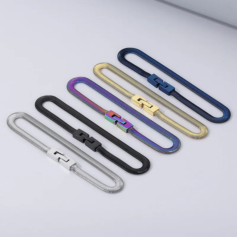 a Drop-Shipment Minimalist Jewelry Buckle Trendy European and American Hip-Hop Style Flat Snake Bone Chain Stainless Steel Necklace for Men and Women