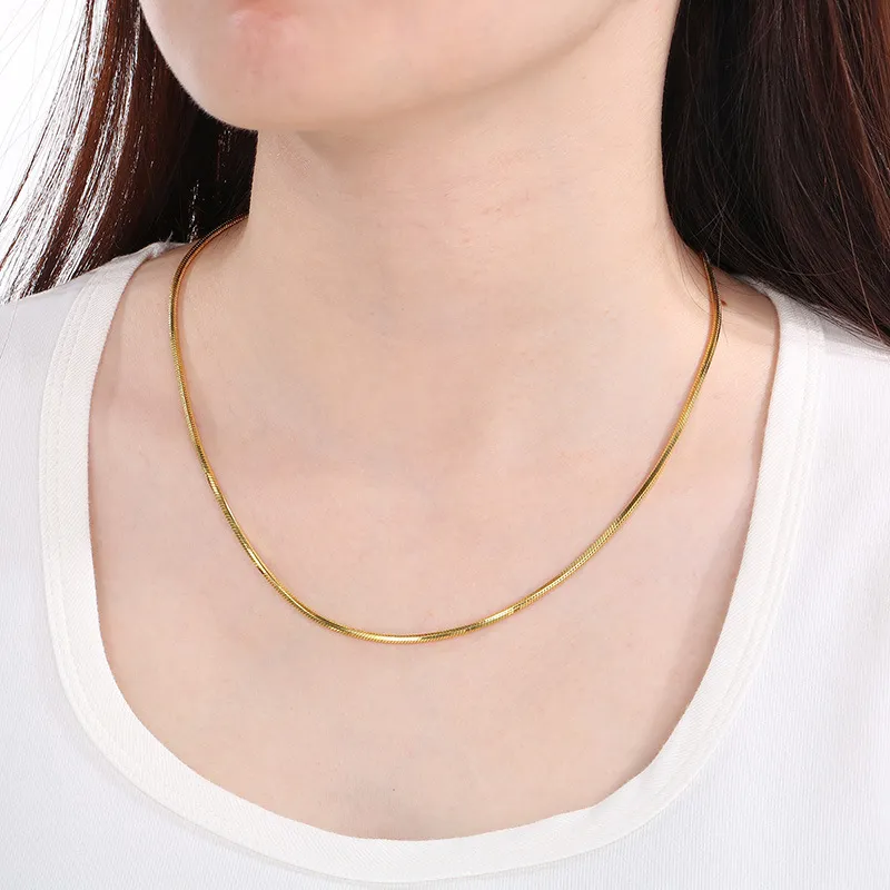 a Niche Design Slim Snake-Shaped Stainless Steel 18K Gold Vacuum-Plated Necklace