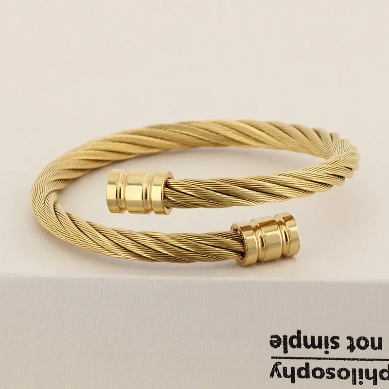 Stainless Steel Jewelry, Steel Wire Bangle, Available in Multiple Colors, Suitable for Daily Wear