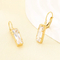 Exquisite Minimalist Square Zircon Stainless Steel Earrings Light Luxury Geometric Earrings Women